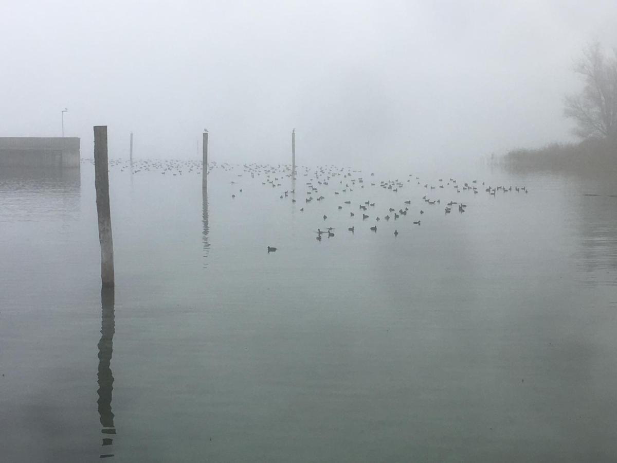 Zwischen Hafen Und Strandbad Konstanz Exterior foto